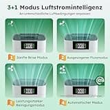 Alphaappliance Luftreiniger mit HEPA Luftfilter und Aktivkohlefilter, Vierstufiges Filtersystem gegen Schimmel, Staub und Tierhaare bis zu 0,3 µm, CADR 220m³/h für Räume bis zu 60m², AP001